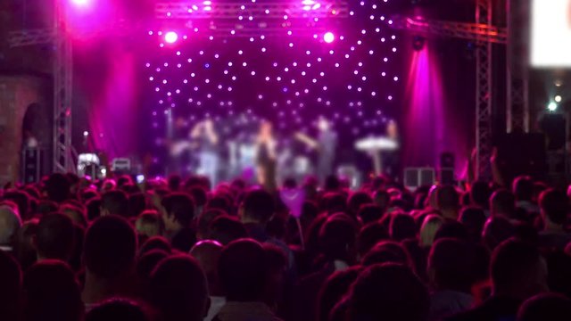  Crowd at Concert - Fans Cheering in Audience in Music Show