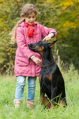 Beautiful little girl is walking with a dobermann in autumn park.