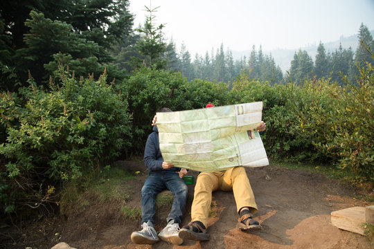 Two young male hikers reading map in forest, Mount Hood National Forest, Oregon, USA