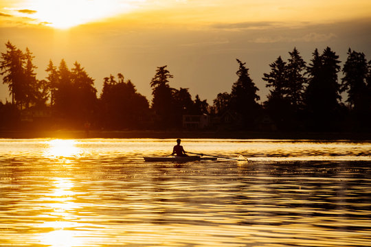 Silhouetted man rowing single scull on Puget Sound at sunset, Winslow, Bainbridge Island, Washington State, USA