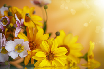 Summer bouquet of yellow daisies