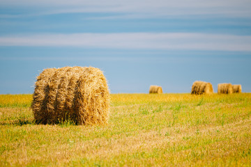 Rural Landscape Field Meadow With Hay Bales After Harvest In Sunny Day