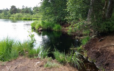 Grundloser See - Moorsee