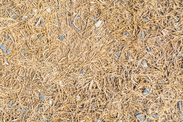 Yellow dry dead grass with some gray gravels