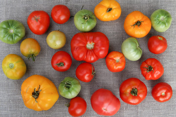 Tomato harvest. A tightly woven linen as a background