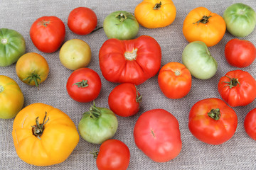 Tomato harvest. A tightly woven linen as a background