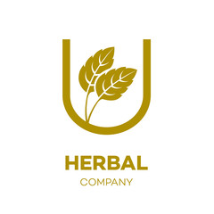 Letter U logo Gold,Green leaf,Herbal,Pharmacy,ecology vector illustration