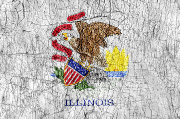 Grudge stone painted US Illinois flag
