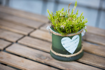 Green pot with flower and heart on the table in a cafe
