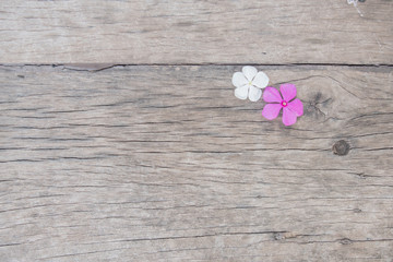 Flowers on wood texture backgrounds