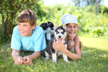 Naklejka na ściany i meble Happy boy and girl lying on the grass with two puppies husky