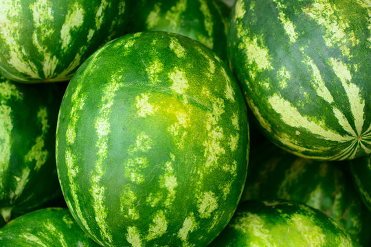 delicious watermelon