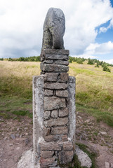 Slune (little elephant) statue  from 1932 in Kralicky Sneznik hill with mountain meadow on the blackground and blue sky with clouds