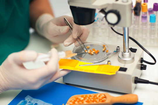 Laboratory assistant in the laboratory of of food quality. Testi