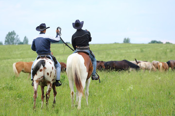 Two cowboys being driven a herd of horses on green field