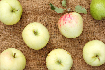 ripe harvest of apples and pears/ flat layout of fruit lying on the rough cloth top view 