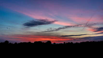 Sunset and Tree Silhouette with a beautiful Sky Panorama