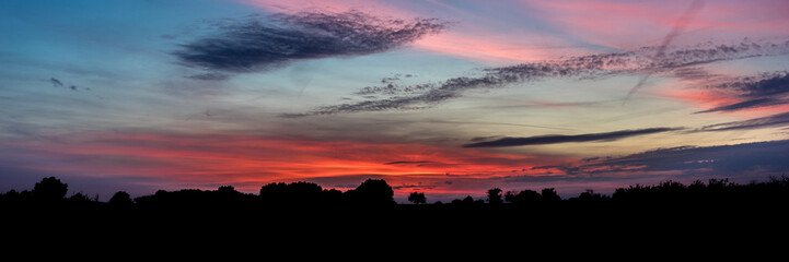 Fototapeta premium Sunset and Tree Silhouette with a beautiful Sky Panorama