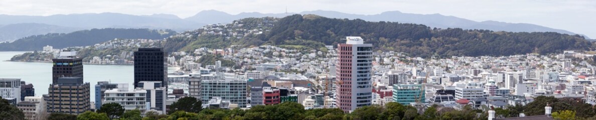 Wellington Panorama © Ramunas