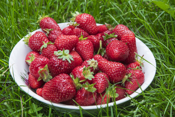 Fresh, red strawberries in plate on green grass.