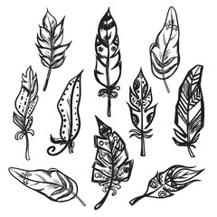 Set of ethnic feathers Vector illustration