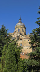 Fototapeta na wymiar view of Salamanca with Tormes River and Cathedral. Castile and Leon, Spain
