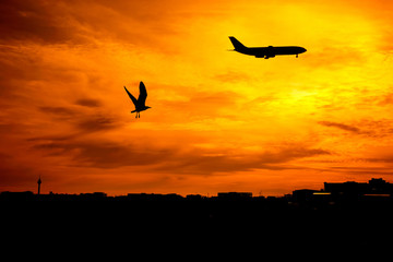 flying commercial airplane