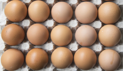 Eggs in cardboard, full frame .