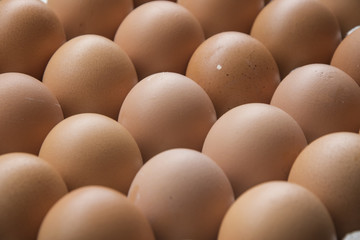 Eggs in cardboard, full frame .