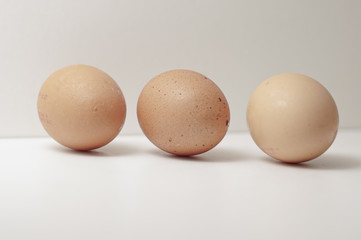 eggs