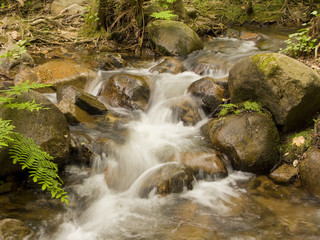 Fototapeta premium Waterfall in the forest