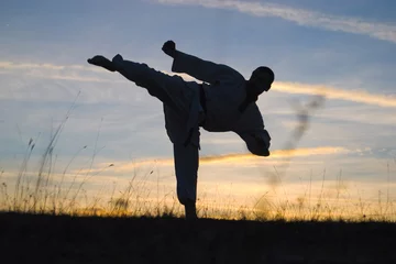 Wall murals Martial arts