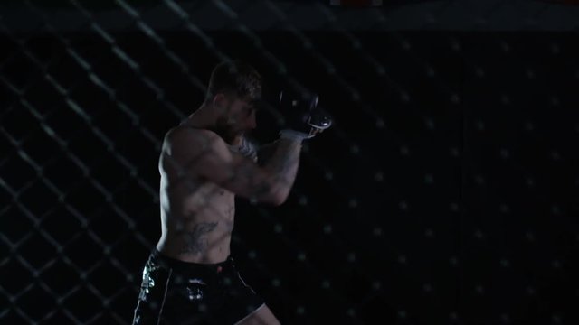  MMA fighter throwing kicks & punches in the fighting cage