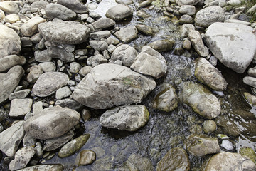 Fototapeta na wymiar Wet stones in a river
