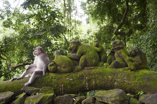 Monkey sitting with mossy statues in jungle