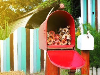 Red Mail box with bouquet inside