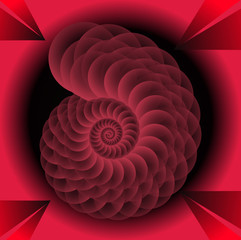 Op art abstract image in red and black design. Transparent spiral seashell on black background. Transparent spiral seashell on black background.