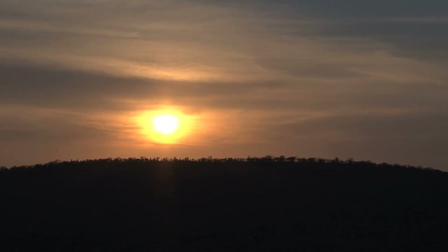 Sunrise over the savanna