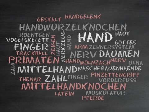 Hand