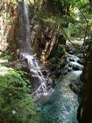 森の清らかな滝