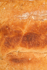 fresh baked italian chiabatta bread isolated on white