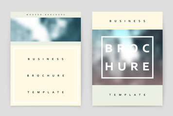 Layout design template, annual report brochure. Business flyer design template.