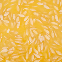 Muskmelon seed background