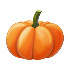 pumpkin isolated on white background