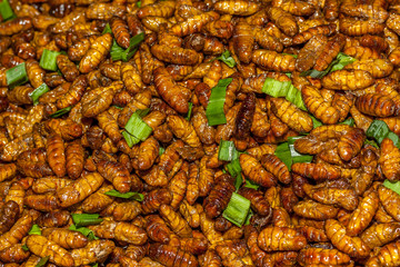 Laves de guêpes
Laves de guêpes frite à la consommation.