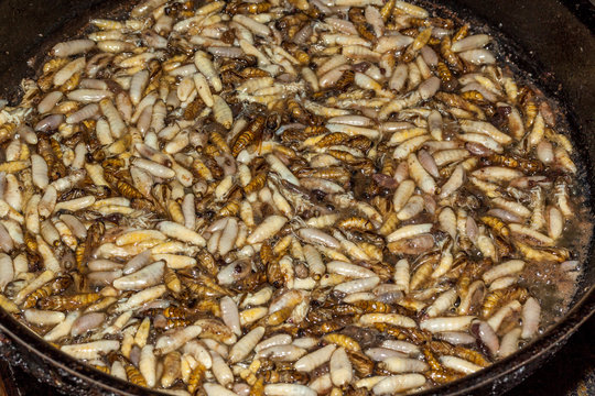 Laves de gu&ecirc;pes
Friture laves de gu&ecirc;pes 