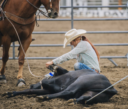Caucasian cowgirl tying cattle in rodeo