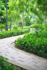 curved outdoor pathway in a garden