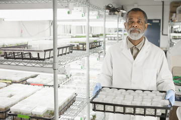 African American scientist working in laboratory