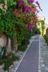 Fototapeta na wymiar alley in Saint Paul de Vence, France